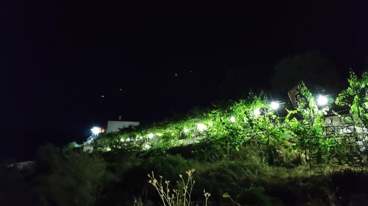 Filikur Hostel Himarë Dış mekan fotoğraf